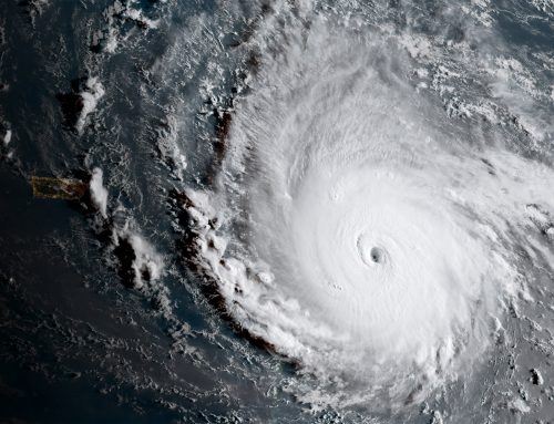 Preparing Your Interest in the Path of a Hurricane